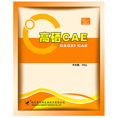 CAE